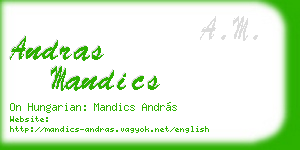 andras mandics business card
